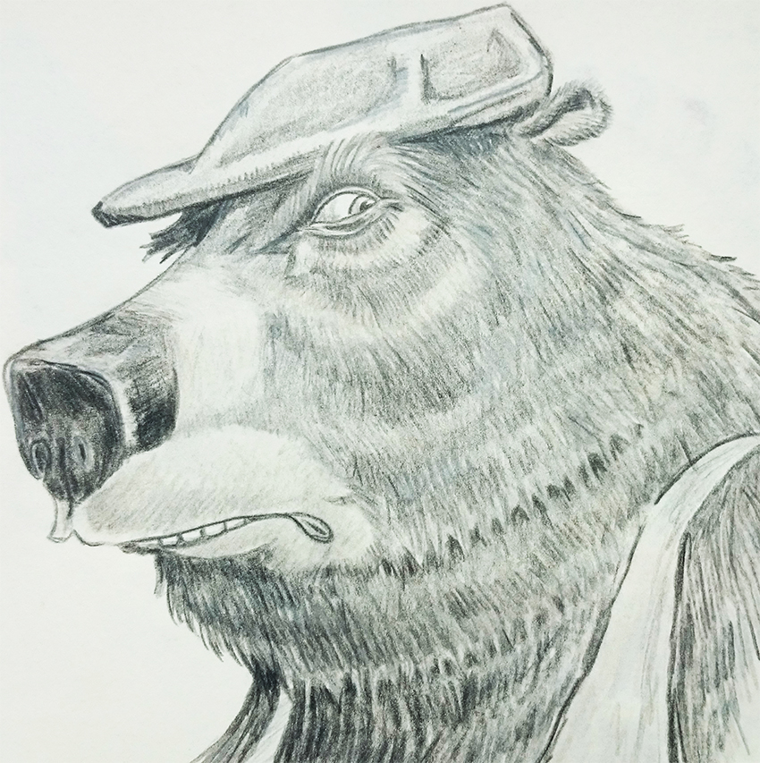 Zeichnung: Bär mit Hut