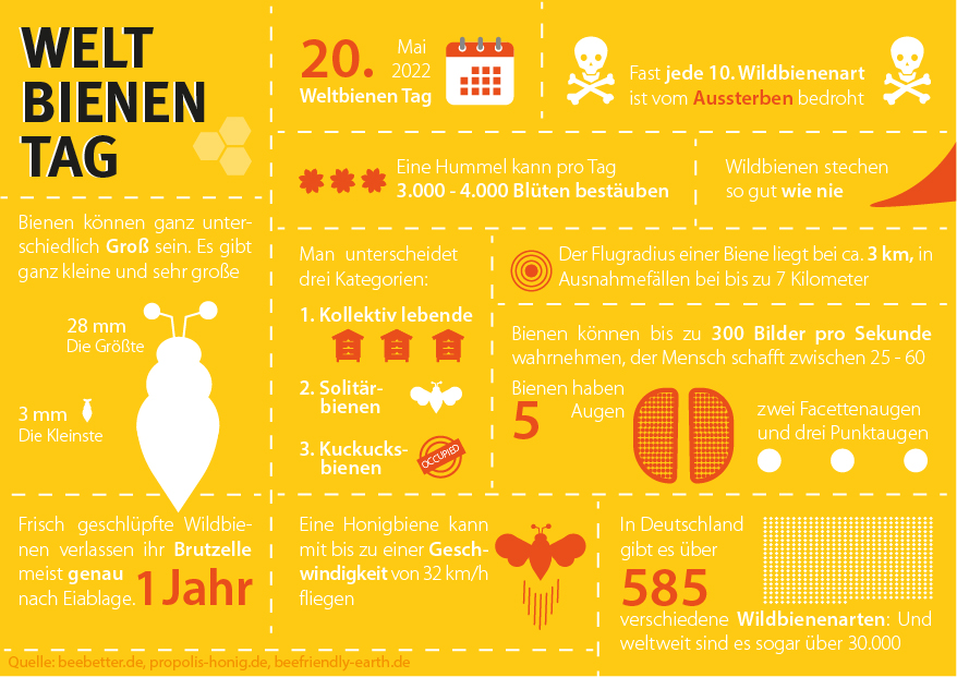 Infografik: Welt Bienen-Tag